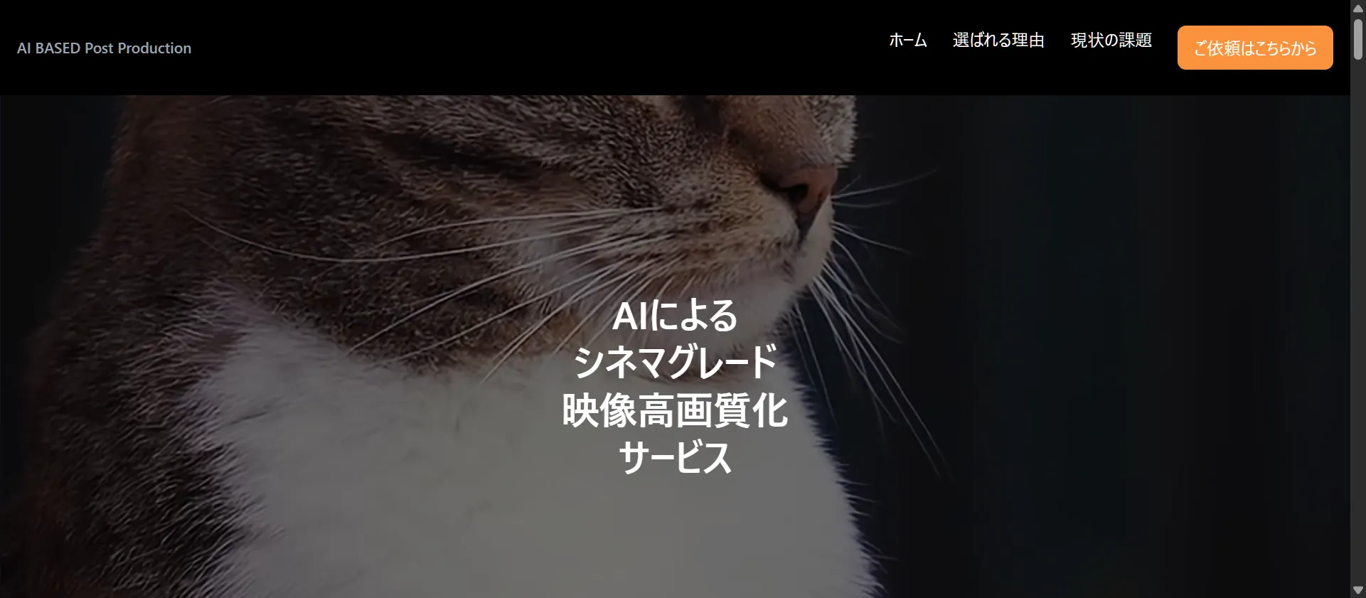 動画制作・AIの事例